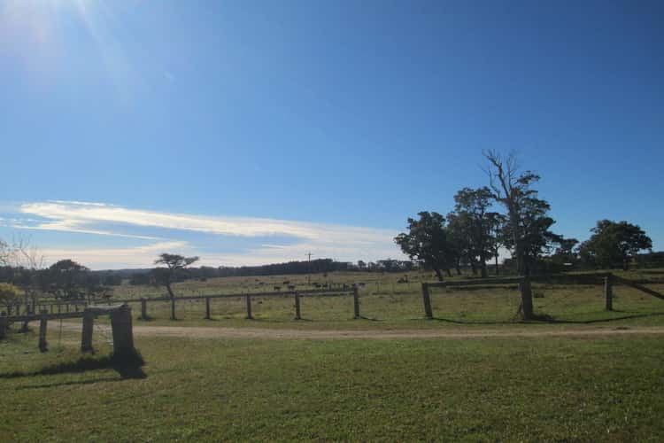 Third view of Homely acreageSemiRural listing, 3427-3429 Princes Highway, Bergalia NSW 2537