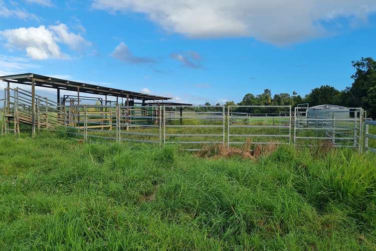 Main view of Homely livestock listing, Address available on request