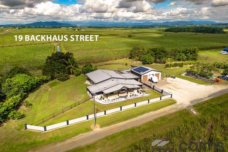 Main view of Homely acreageSemiRural listing, 19 Backhaus Street, Innisfail QLD 4860