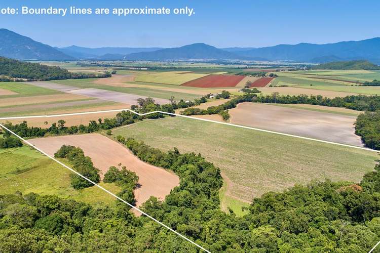 Fifth view of Homely residentialLand listing, LOT Lot 117, 407 Gray Road, Gordonvale QLD 4865
