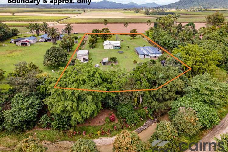 Seventh view of Homely acreageSemiRural listing, 49 Musumeci Road, Mirriwinni QLD 4871