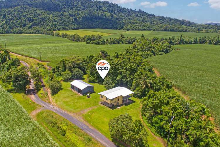 Main view of Homely house listing, 86 Cuthill Road, Silkwood QLD 4856