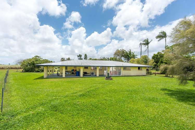 Main view of Homely acreageSemiRural listing, 352 Mourilyan Harbour Road, Mourilyan QLD 4858
