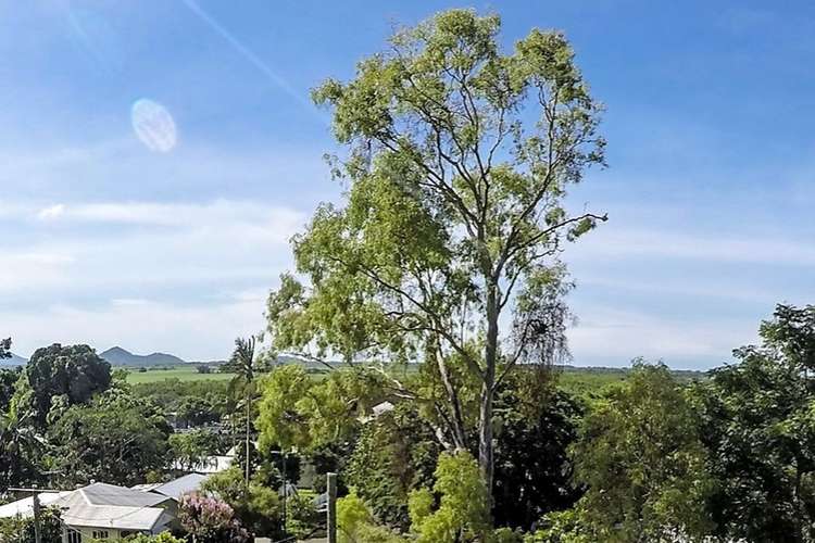 Sixth view of Homely residentialLand listing, 15 Dalgety St, Stratford QLD 4870