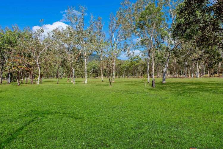 Second view of Homely house listing, 29 Buzacott Street, Gordonvale QLD 4865