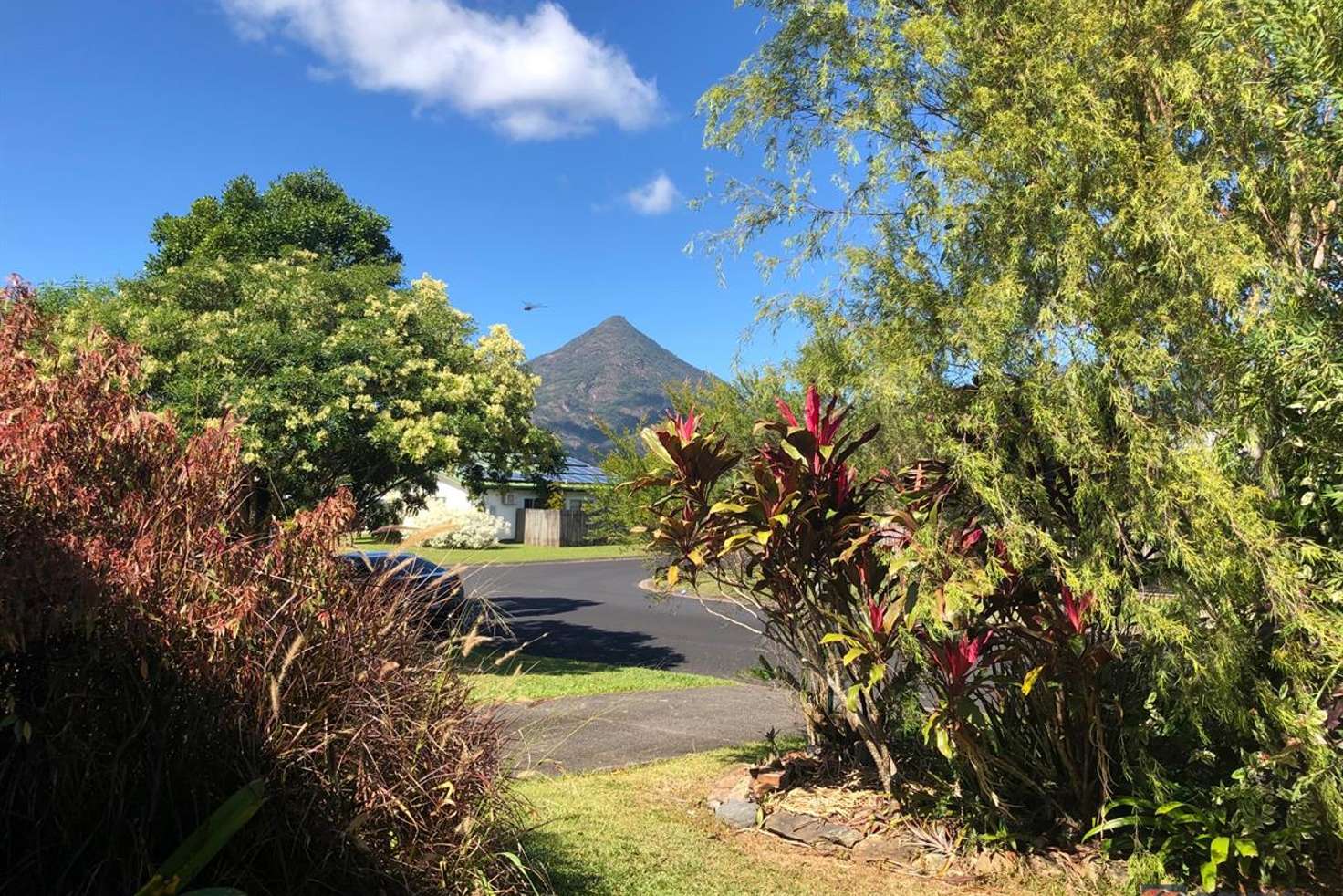 Main view of Homely house listing, 56 Murphy Street, Gordonvale QLD 4865