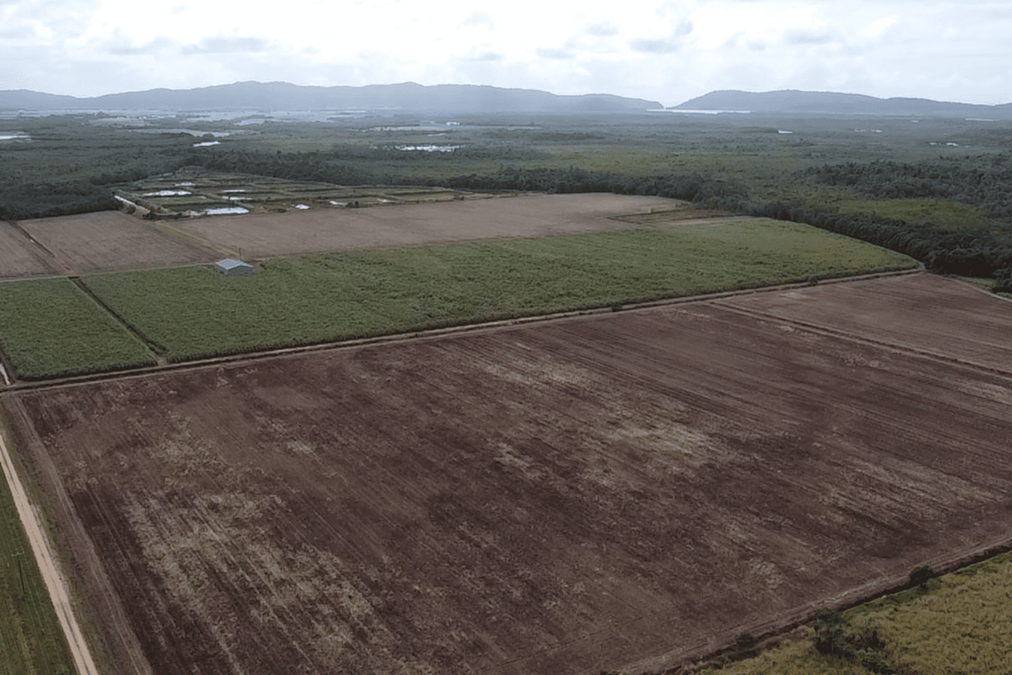 Main view of Homely mixedFarming listing, 159 Eden Road, Cowley QLD 4871