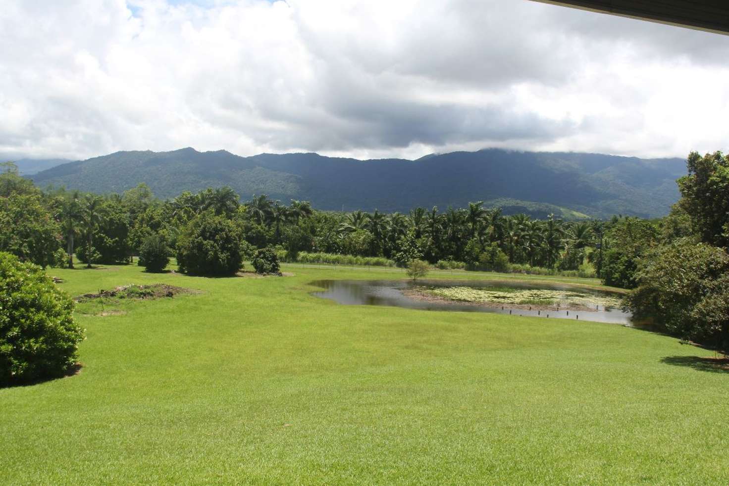 Main view of Homely acreageSemiRural listing, 348R-360R Kruckow Road, Babinda QLD 4861