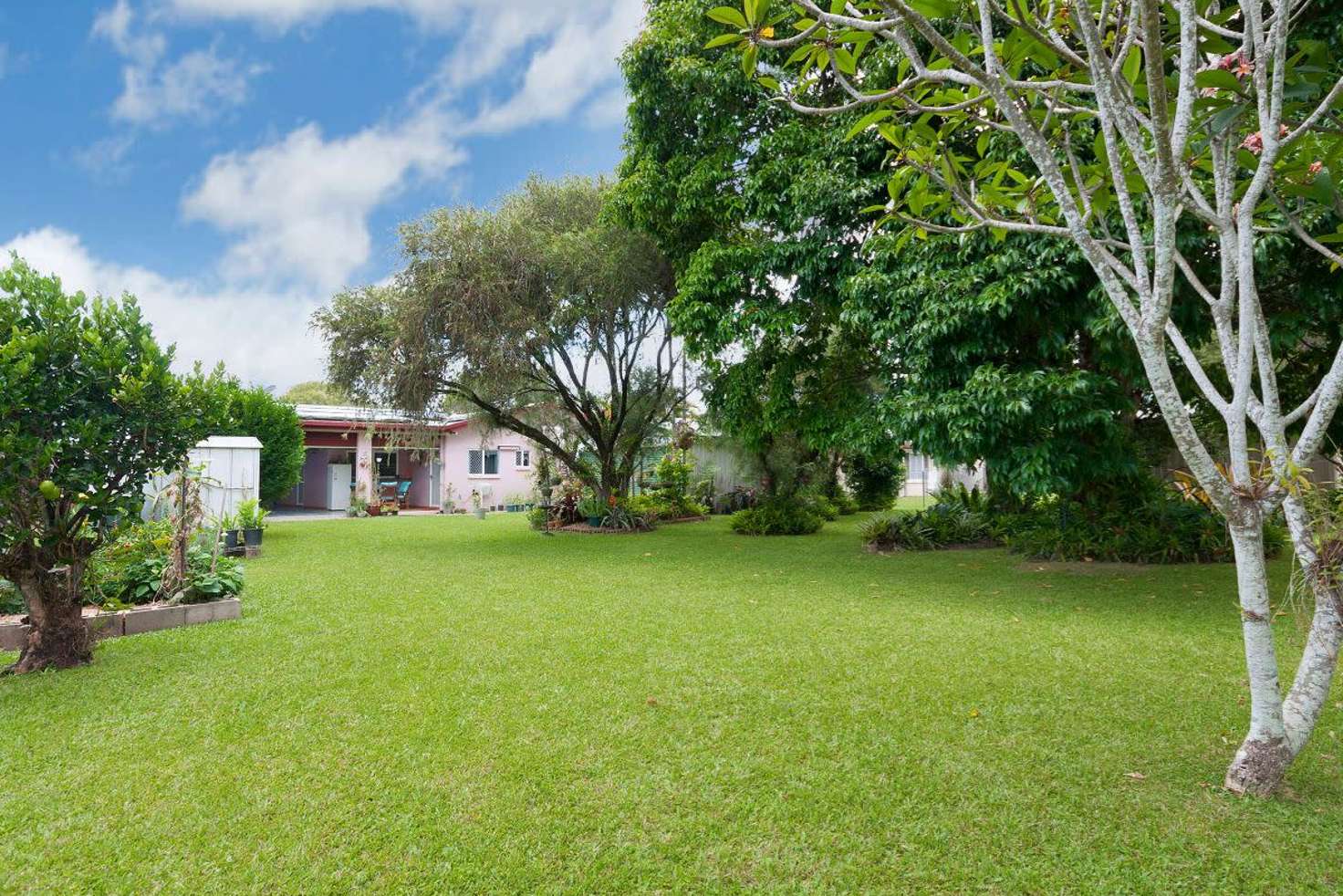 Main view of Homely house listing, 41 Bathurst Drive, Bentley Park QLD 4869