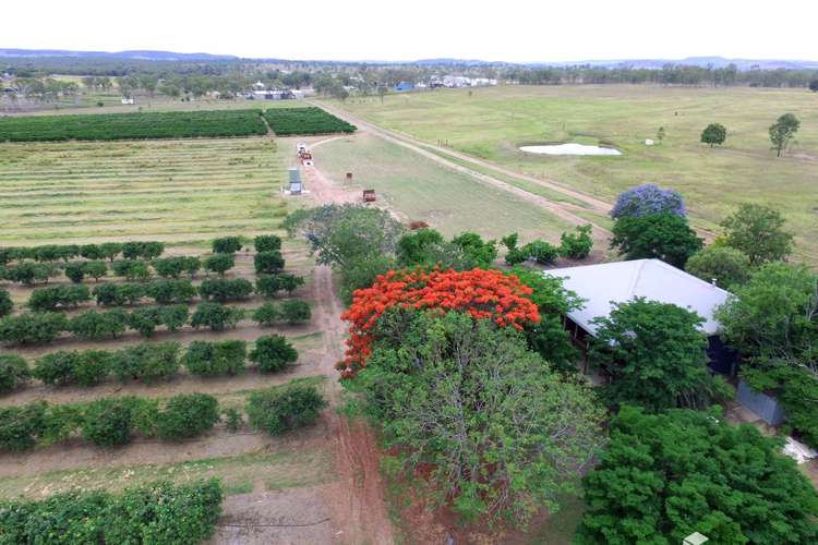 Main view of Homely horticulture listing, 90 McIndoes Road, Mundubbera QLD 4626