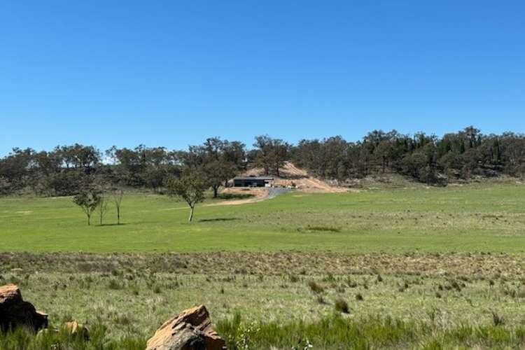 Main view of Homely livestock listing, 1513 Durridgere Road, Turill NSW 2850