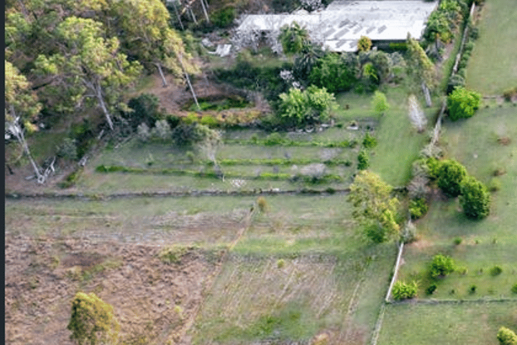 Main view of Homely ruralOther listing, 395 Plains Station Road, Tabulam NSW 2469