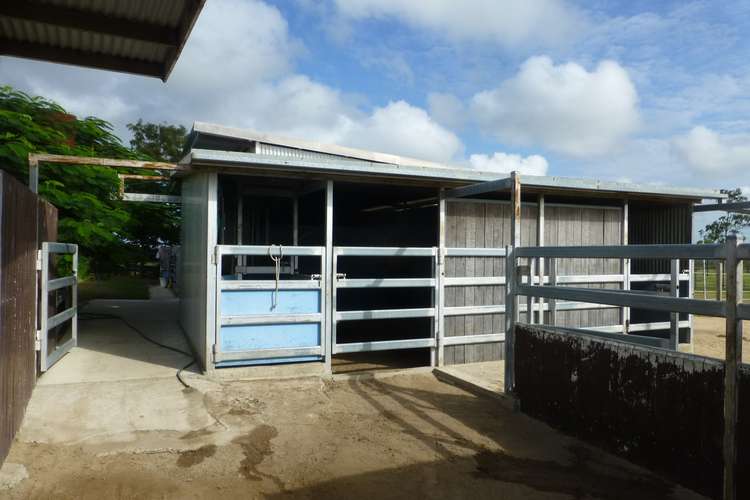 Second view of Homely livestock listing, 860 RAILWAY ROAD, Booyal QLD 4671