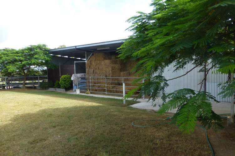 Fifth view of Homely livestock listing, 860 RAILWAY ROAD, Booyal QLD 4671