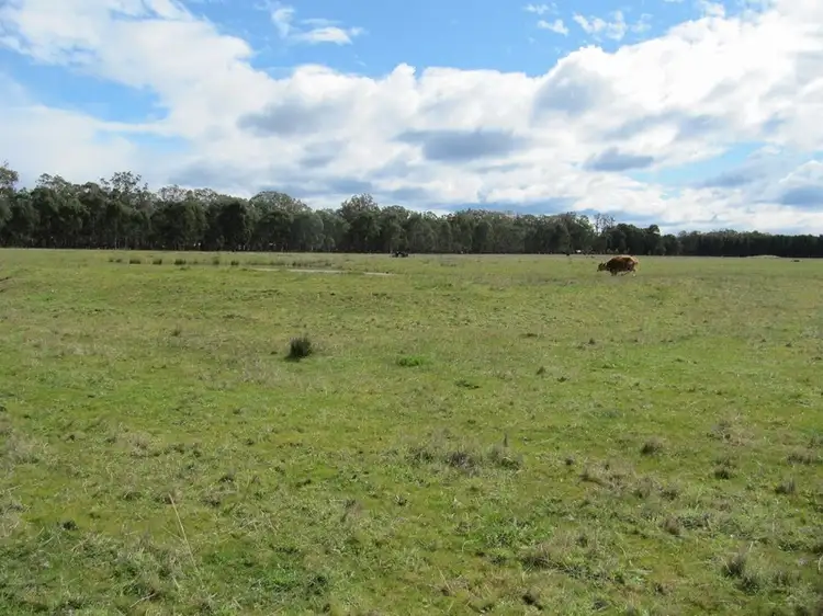 Seventh view of Homely rural property listing, CA21 Boundary Road, Briagolong VIC 3860