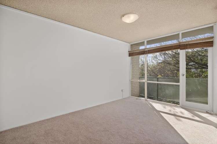 Second view of Homely studio listing, 51 HEREFORD STREET, Glebe NSW 2037