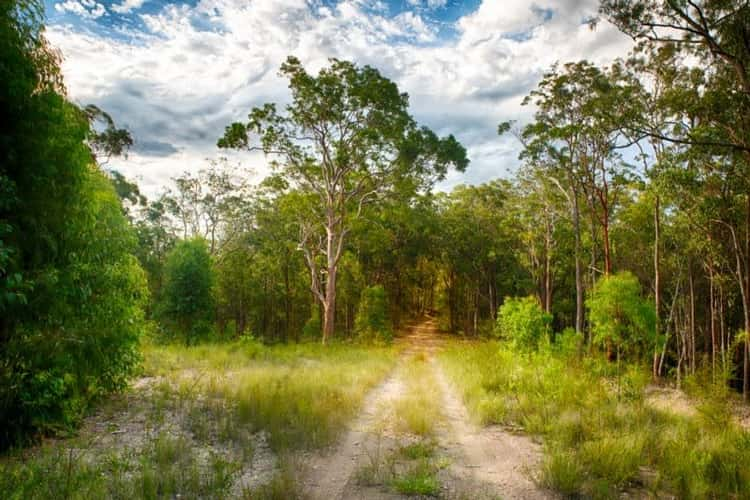 LOT 107 Duns Creek Road, Duns Creek NSW 2321