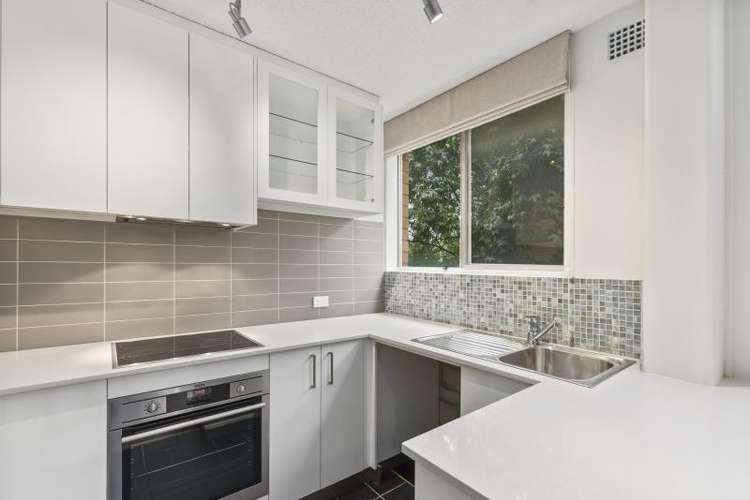 Main view of Homely apartment listing, 8-12 SHEEHY STREET, Glebe NSW 2037