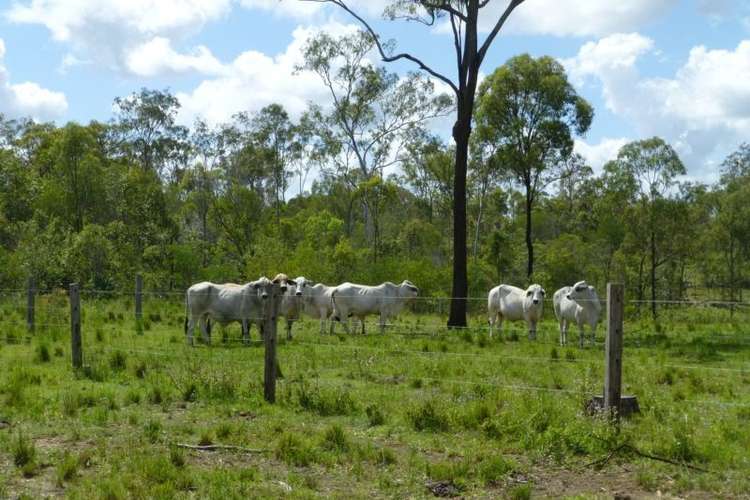 Second view of Homely livestock listing, Address available on request