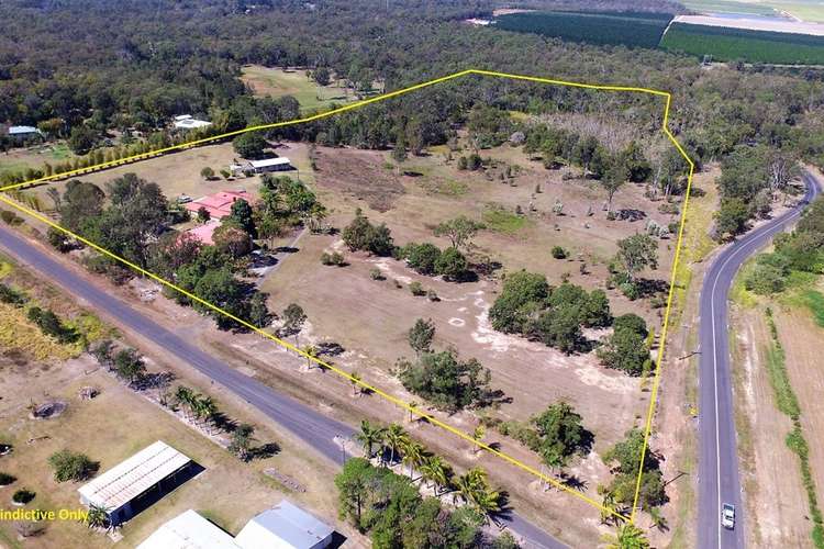 Third view of Homely house listing, 14 Palm Spring Drive, Calavos QLD 4670