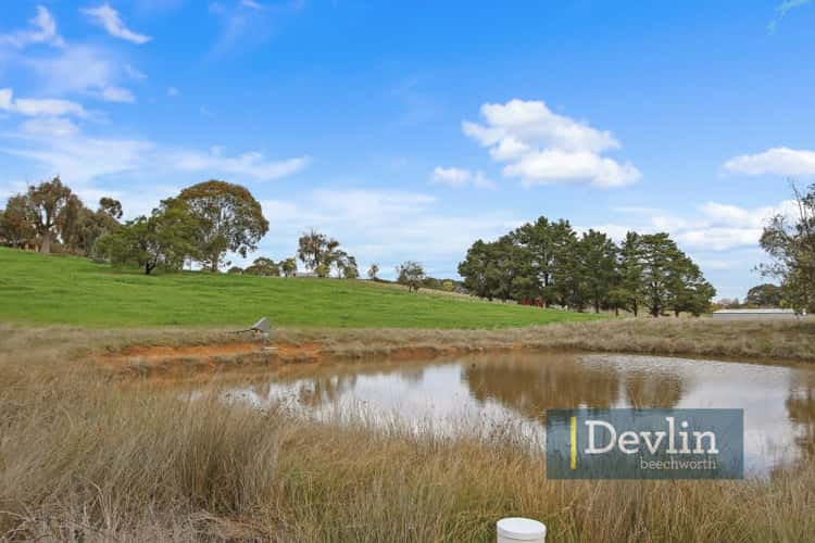 Third view of Homely house listing, 1532 Diffey Road, Beechworth VIC 3747