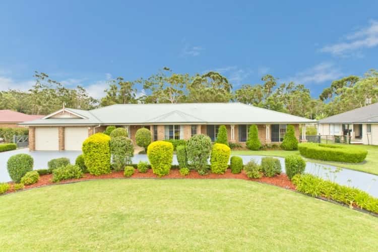 Main view of Homely house listing, 22 Potoroo Blvd, Medowie NSW 2318