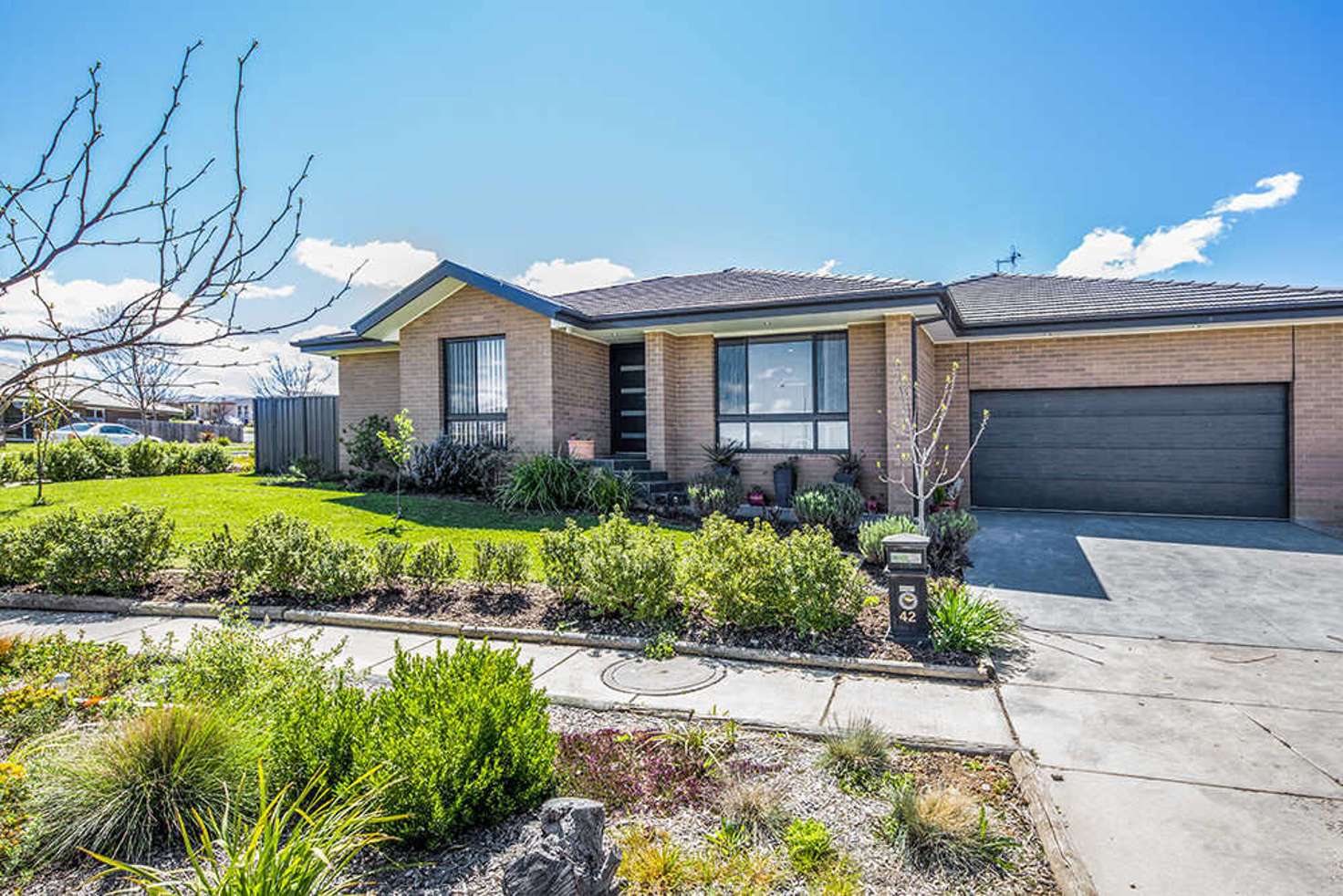 Main view of Homely house listing, 42 Elia Ware Crescent, Bonner ACT 2914
