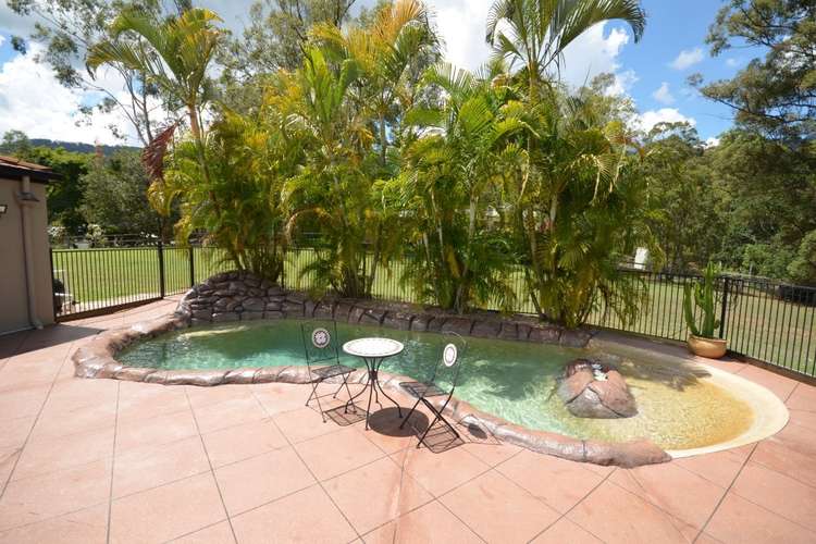 Fifth view of Homely acreageSemiRural listing, 17 Thornbird Court, Boyland QLD 4275