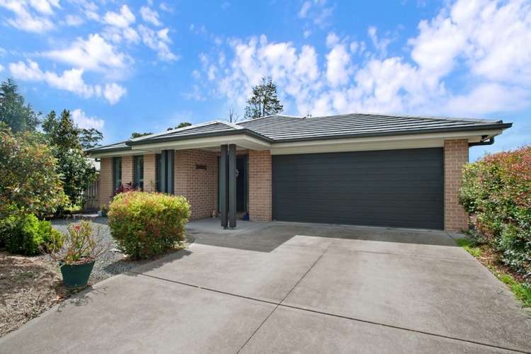 Main view of Homely house listing, 240A Paterson Road, Bolwarra Heights NSW 2320