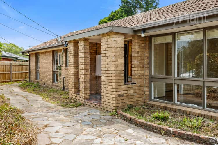 5 Wilfred Court, Glen Waverley VIC 3150