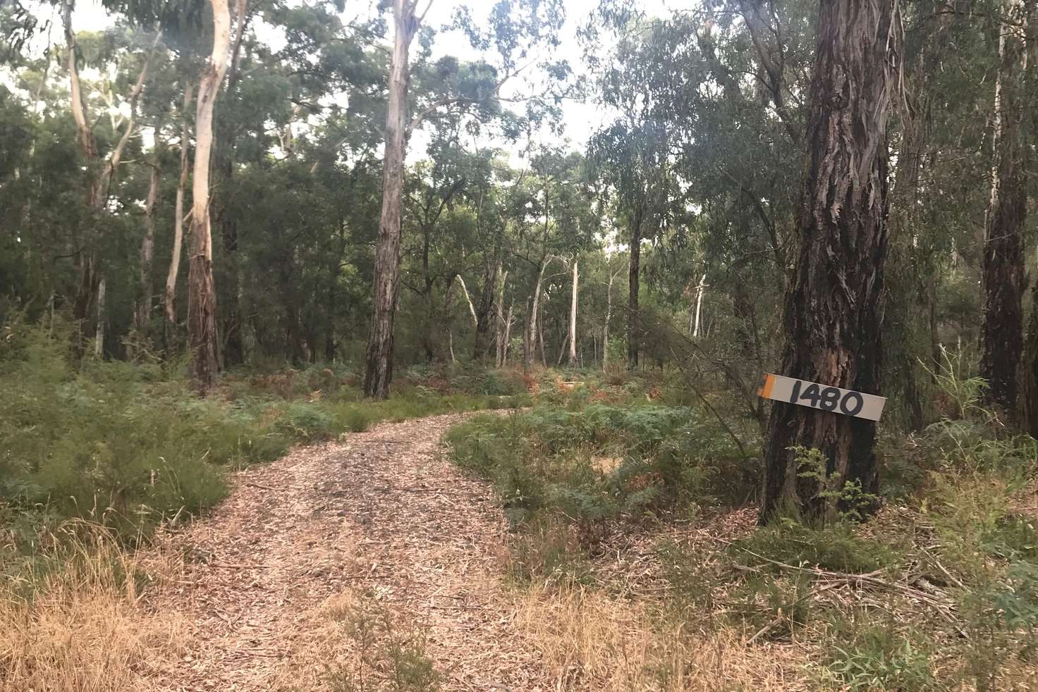 Main view of Homely ruralOther listing, 1480 Colac Forrest Road, Yeodene VIC 3249