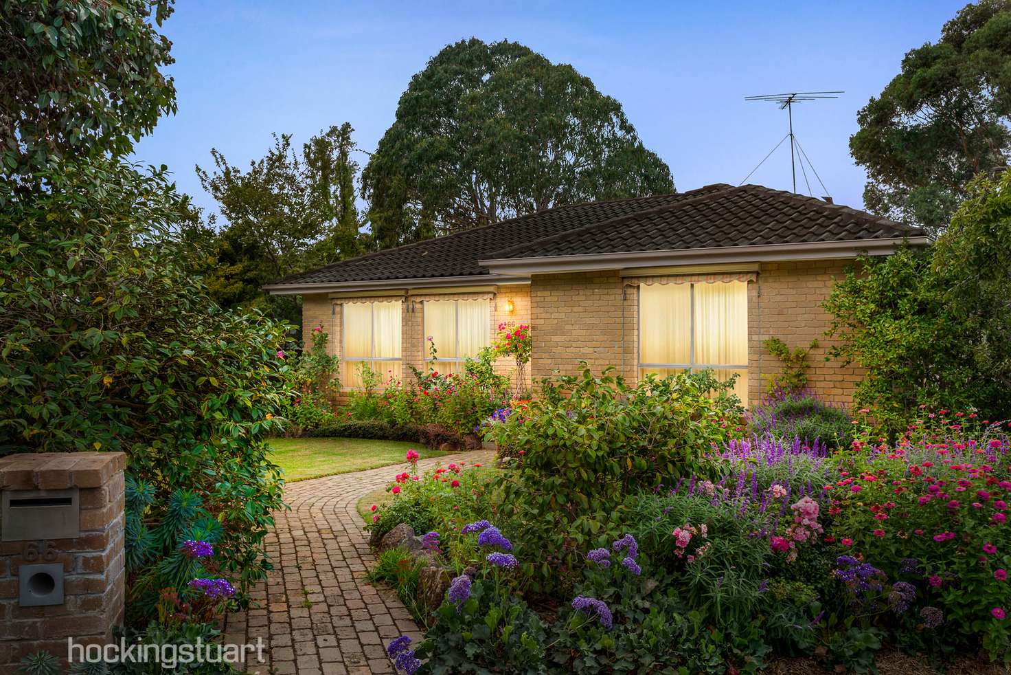 Main view of Homely house listing, 66 Morton Road, Burwood VIC 3125