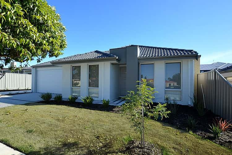 Main view of Homely villa listing, 1/64 Kilmurray Way, Balga WA 6061