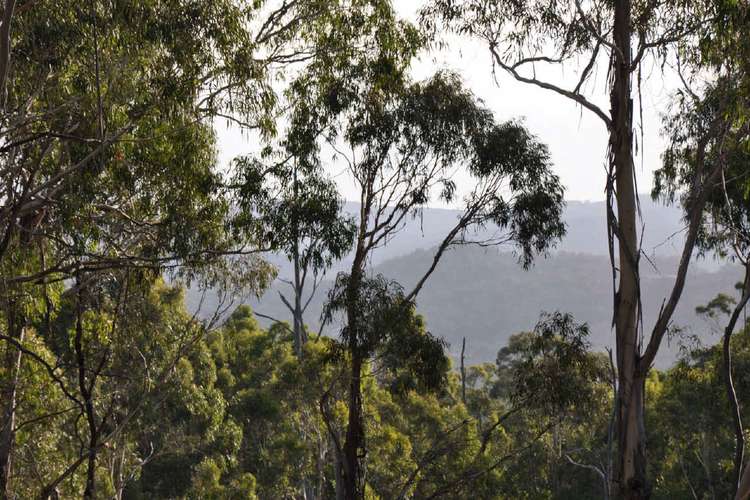 205 and 206 Foggy Forest Drive, Anembo NSW 2621