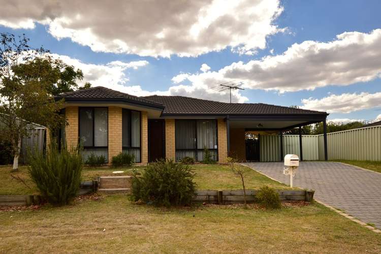 Main view of Homely house listing, 29 Possum Glade, Beeliar WA 6164