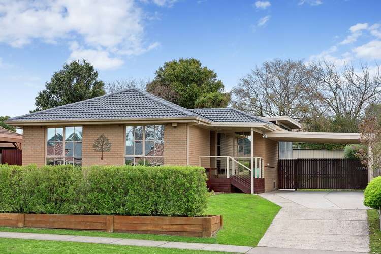 Main view of Homely house listing, 19 Nichols Dr, Mornington VIC 3931