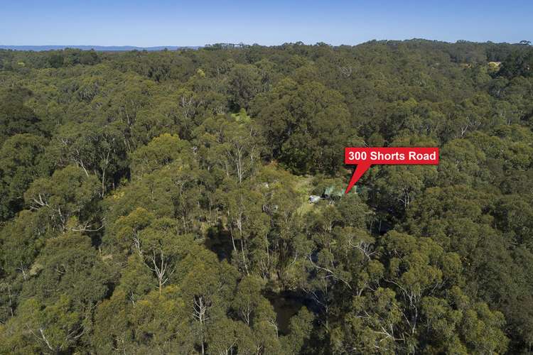 Second view of Homely ruralOther listing, 300 Shorts Road, Barongarook VIC 3249