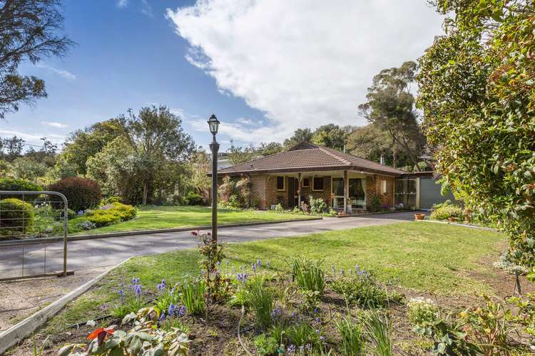 Main view of Homely house listing, 6 David Street, Blairgowrie VIC 3942