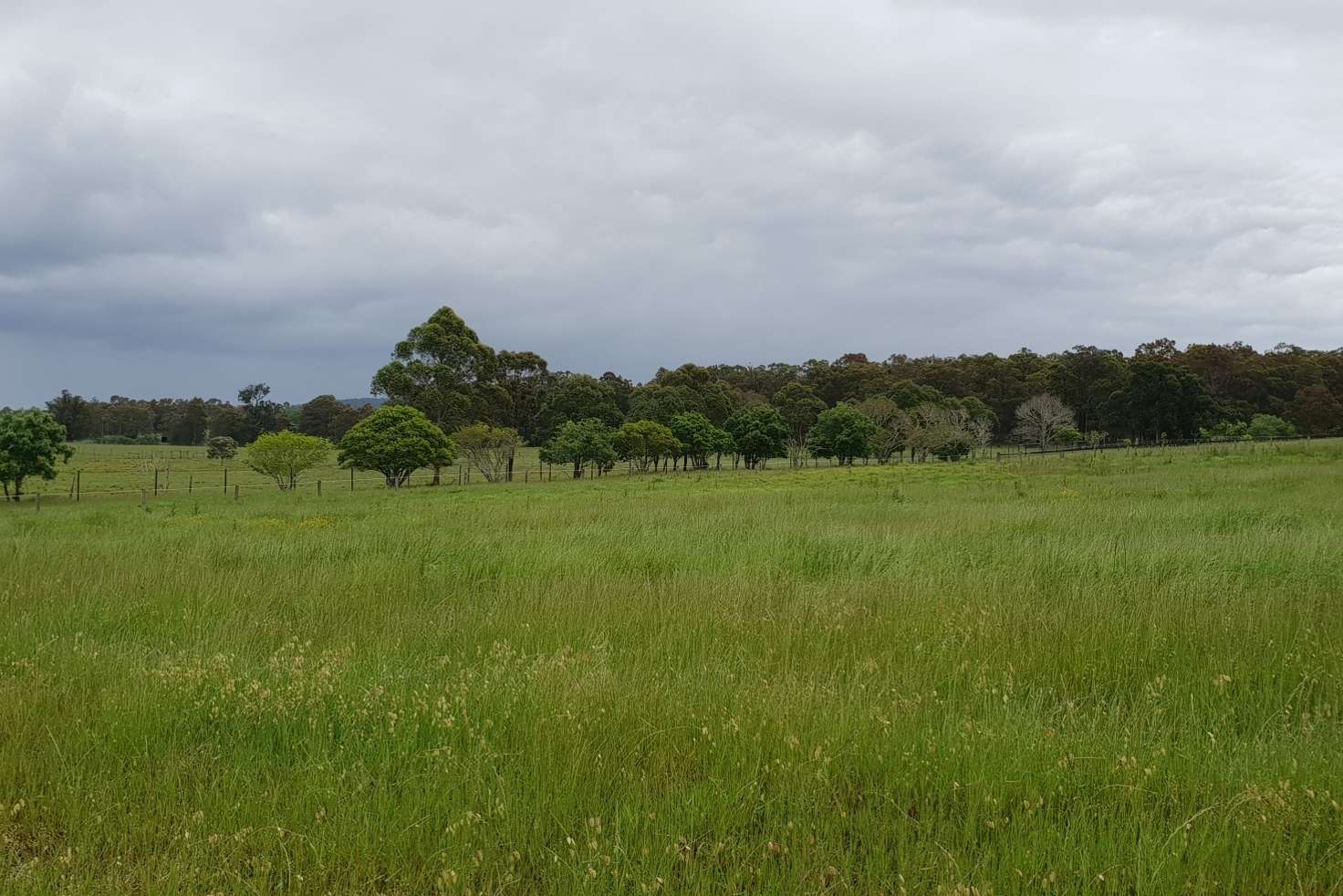 Main view of Homely ruralOther listing, 220 Fotheringay Road, Clarence Town NSW 2321