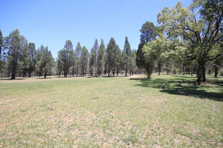 Second view of Homely house listing, 800 Worondi Creek Road, Gungal NSW 2333