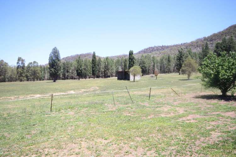 Third view of Homely house listing, 800 Worondi Creek Road, Gungal NSW 2333