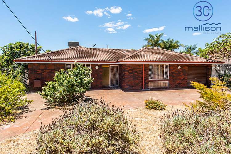 Main view of Homely house listing, 14 Bersica Court, Kardinya WA 6163