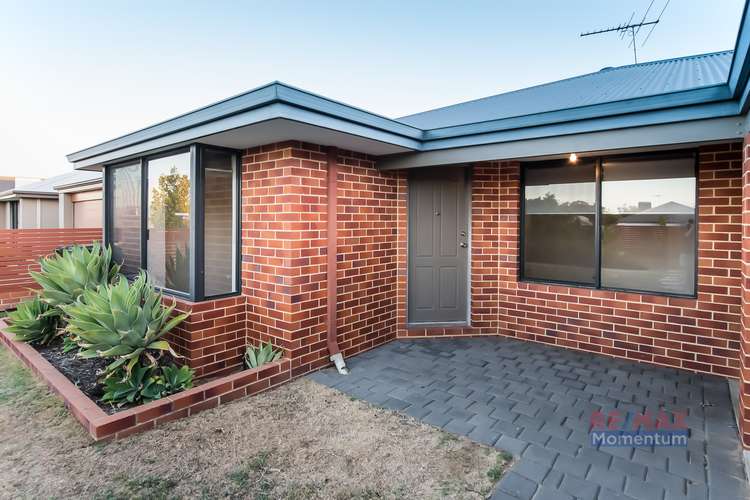 Second view of Homely house listing, 11 Champion Drive, Bertram WA 6167