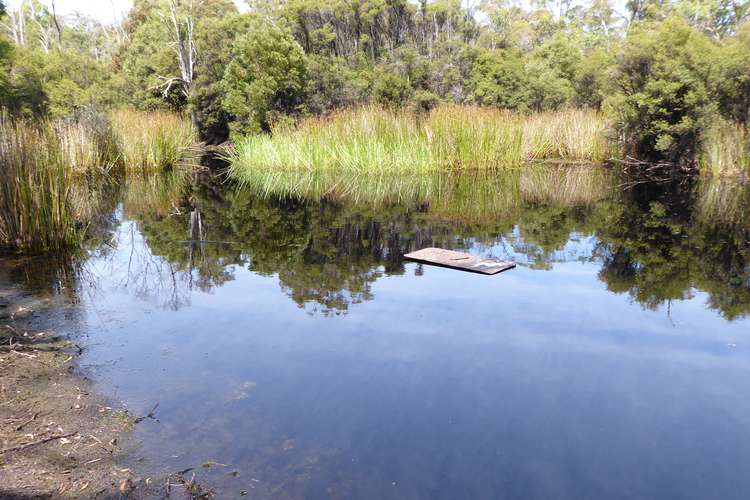 Third view of Homely ruralOther listing, . Barnbougle Road, Bridport TAS 7262