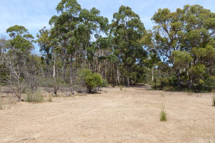 Fifth view of Homely ruralOther listing, . Barnbougle Road, Bridport TAS 7262