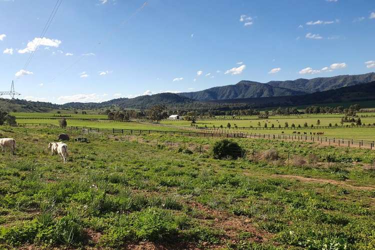 Seventh view of Homely residentialLand listing, 24 Cavalry Line Road, Aberdeen NSW 2336