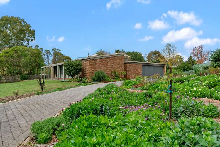 Third view of Homely house listing, 16 Gayer Avenue, Wangaratta VIC 3677