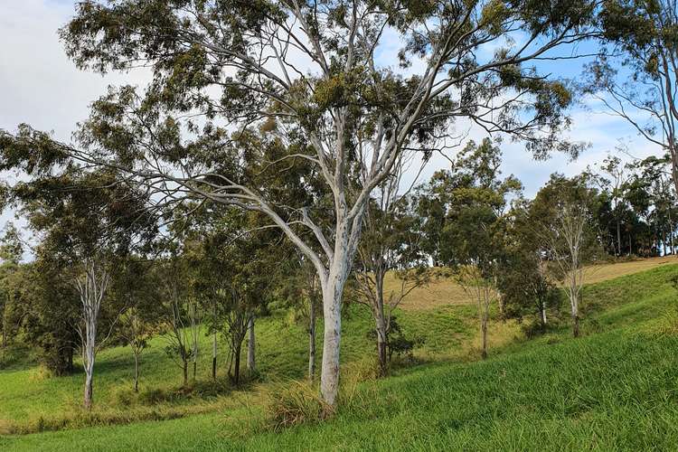 Third view of Homely residentialLand listing, Lot 15 Coleshill Drive, Alligator Creek QLD 4740