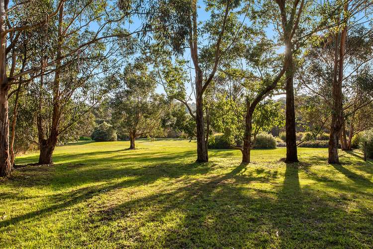 Sixth view of Homely house listing, 184 Hendersons Road, Bittern VIC 3918