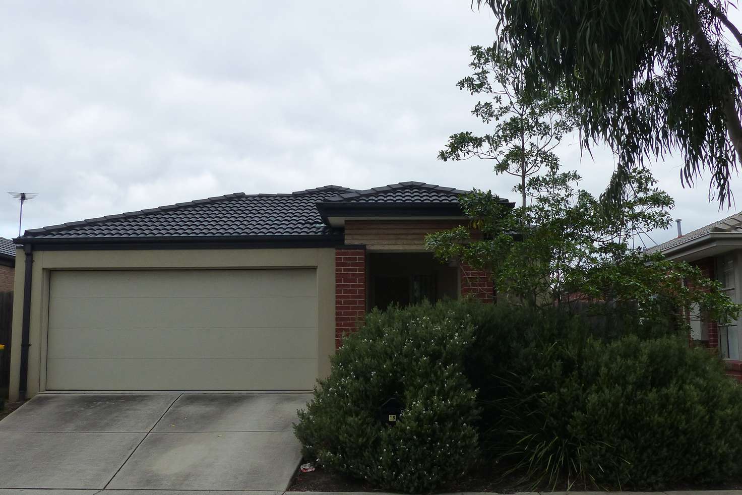 Main view of Homely house listing, 19 Cortland Street, Doreen VIC 3754